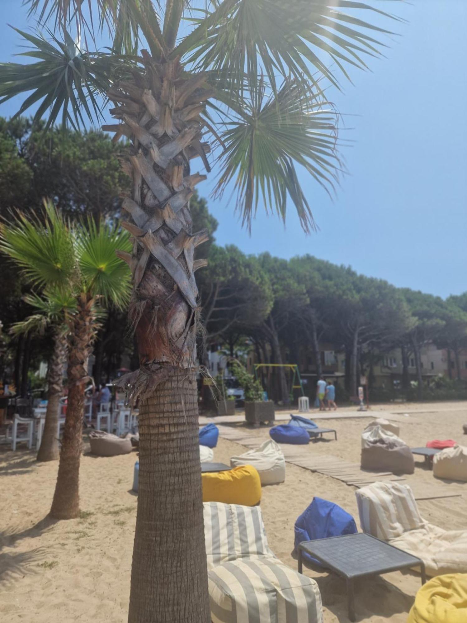 Apartamento Pearl Adriatic Coast 2 *